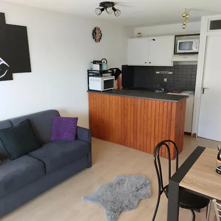 Apartment Confortable Avec Balcon A Pra-loup - Fr-1-165a-167 *